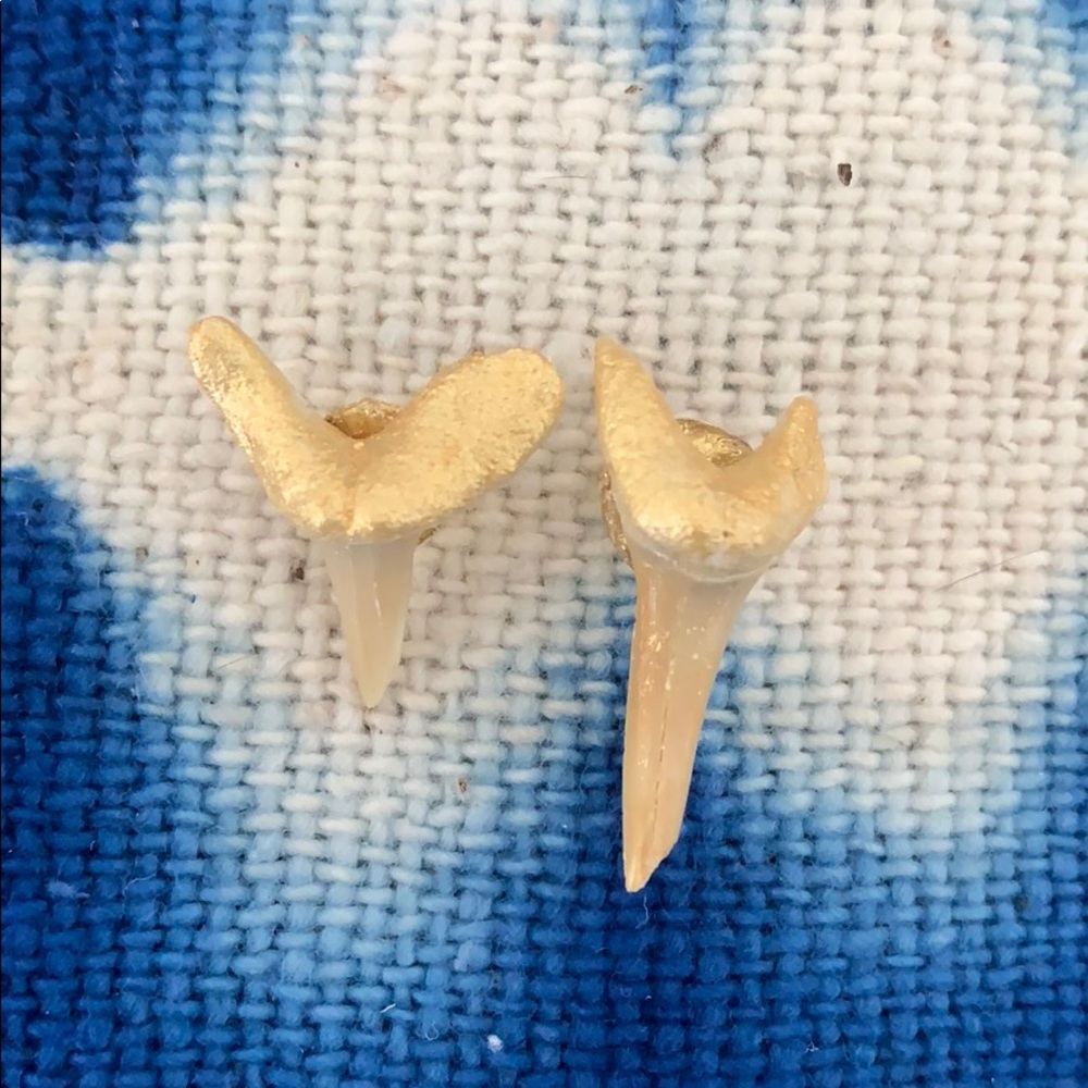 Shark Teeth Earrings with Gold Coloring